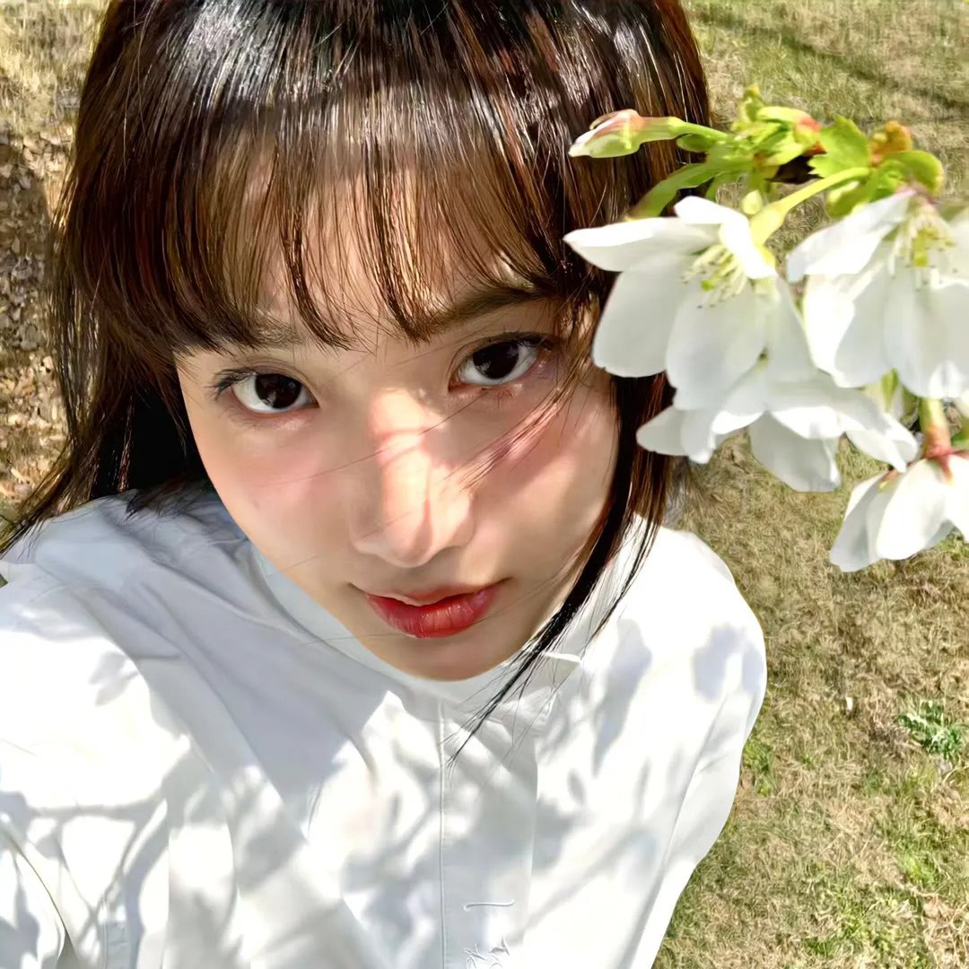 半缘修道半缘君