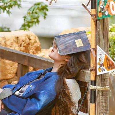 宫女 (2007年电影)